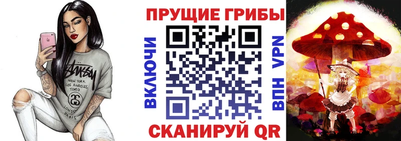 kraken маркетплейс  Кондрово  Псилоцибиновые грибы GOLDEN TEACHER 