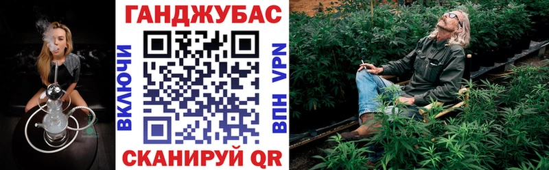 купить  цена  Кондрово  Марихуана сатива 